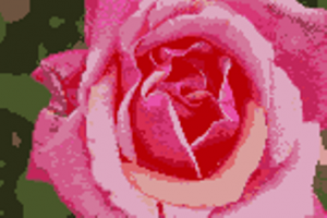 Mother's Day Rose Crochet Photo Pattern - Crochet Envy deal of the day!