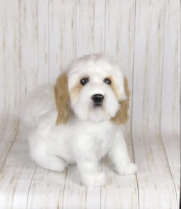 Dog Crochet Pattern