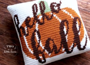 Fall Pillow Crochet Pattern