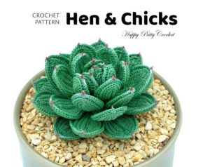 Hens & Chicks Succulent Crochet Pattern