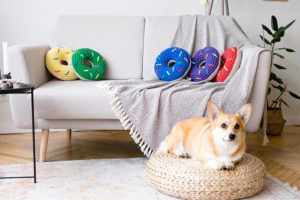 Sweet Donut Crochet Kit