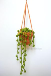 String Pearls Succulent Plant Crochet