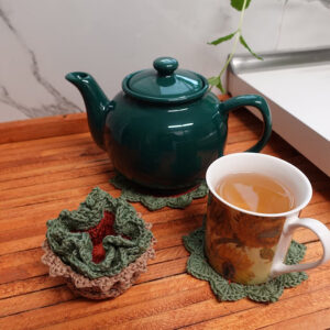 Succulent Plant Pot Coaster Set