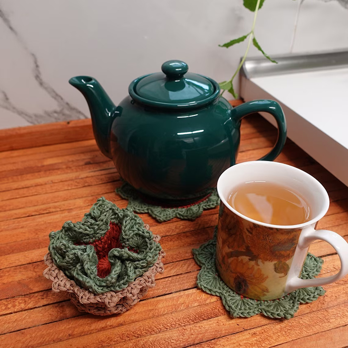 Succulent Plant Pot Coaster Set