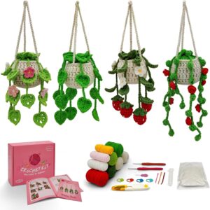 crochet succulent kit